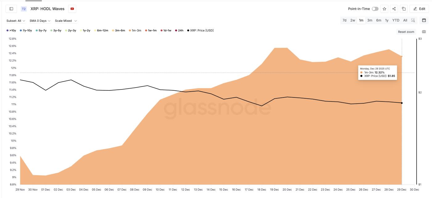 短期买家增加供应