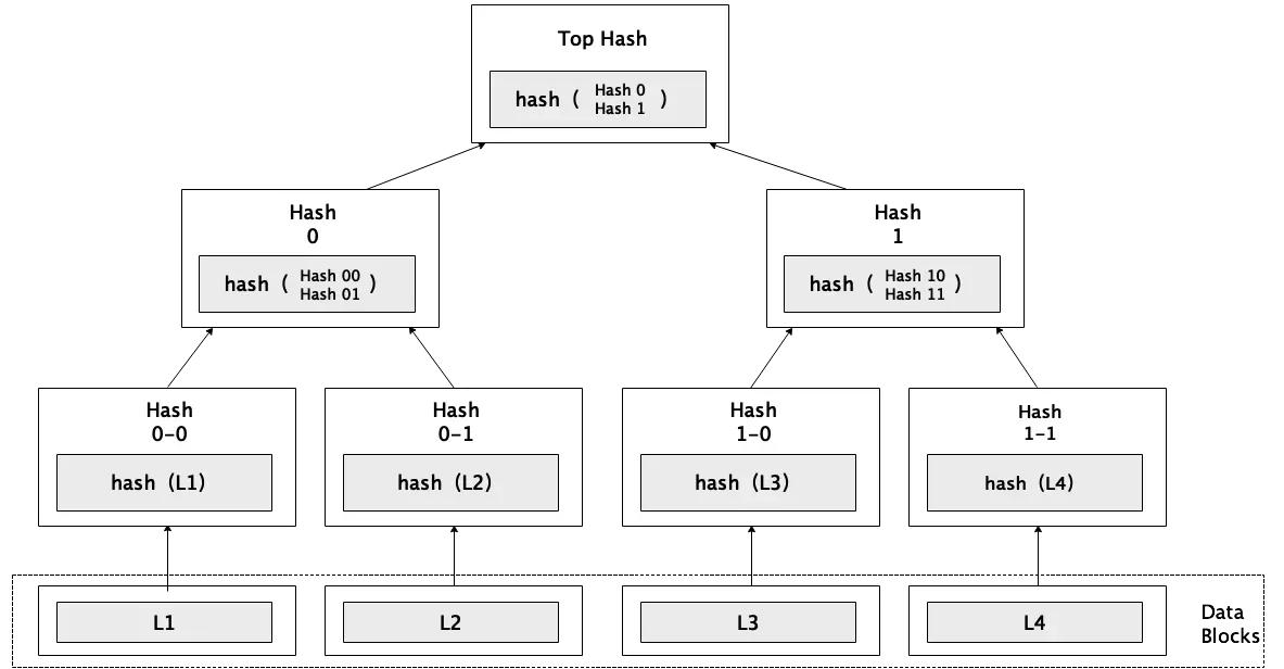 On the eve of another outbreak, a 10,000-word summary of the development of new Bitcoin technologies