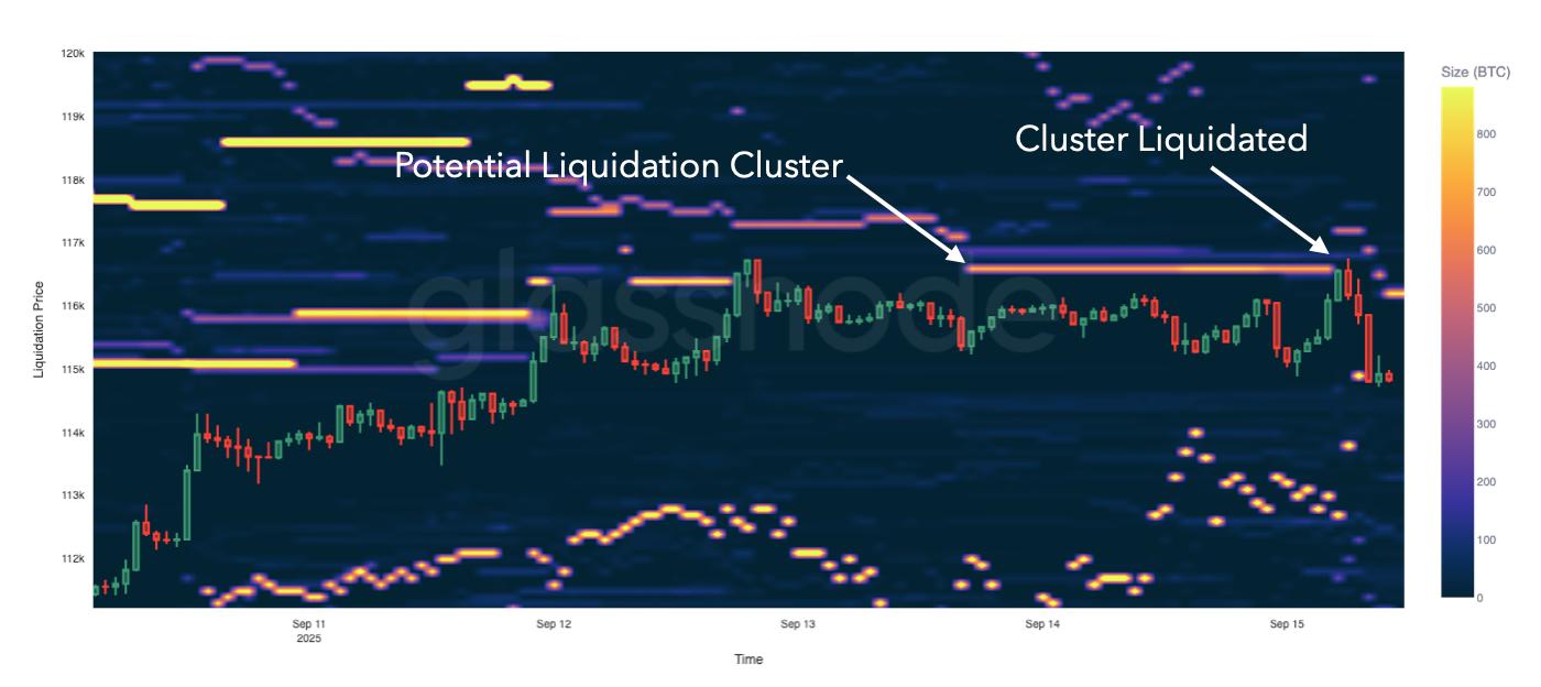 Pressure Points: Liquidation Heatmaps & Market Bias