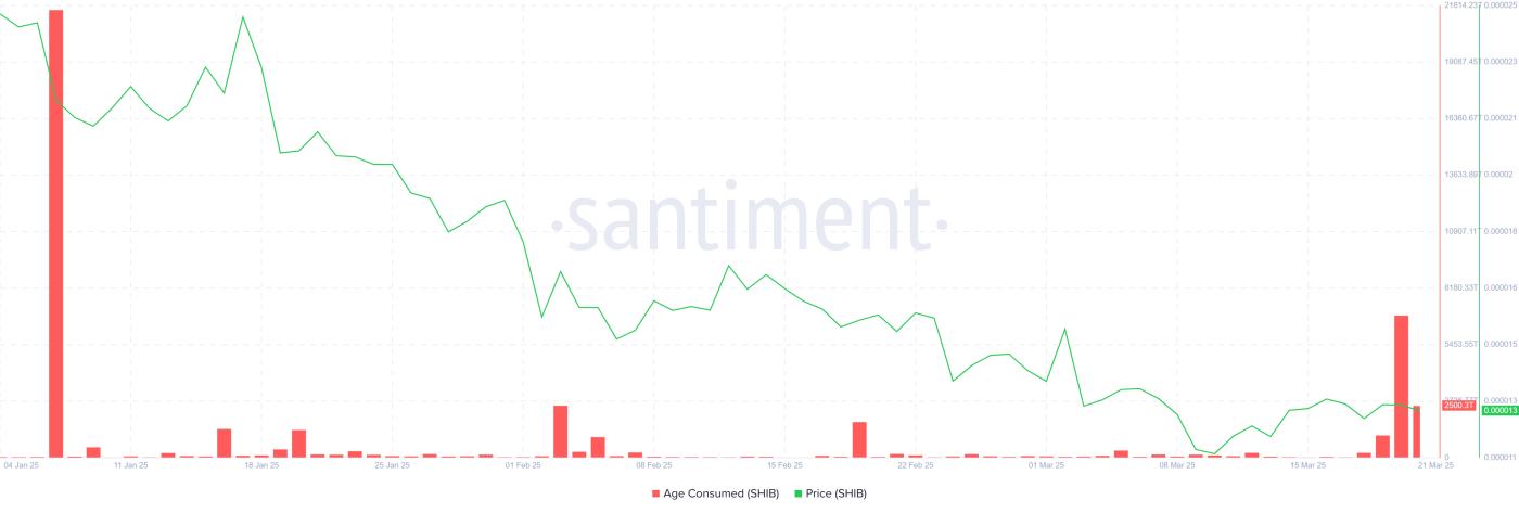Shiba Inu Age Consumed