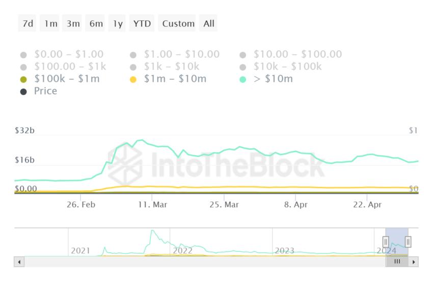시바견 고래 홀딩스.