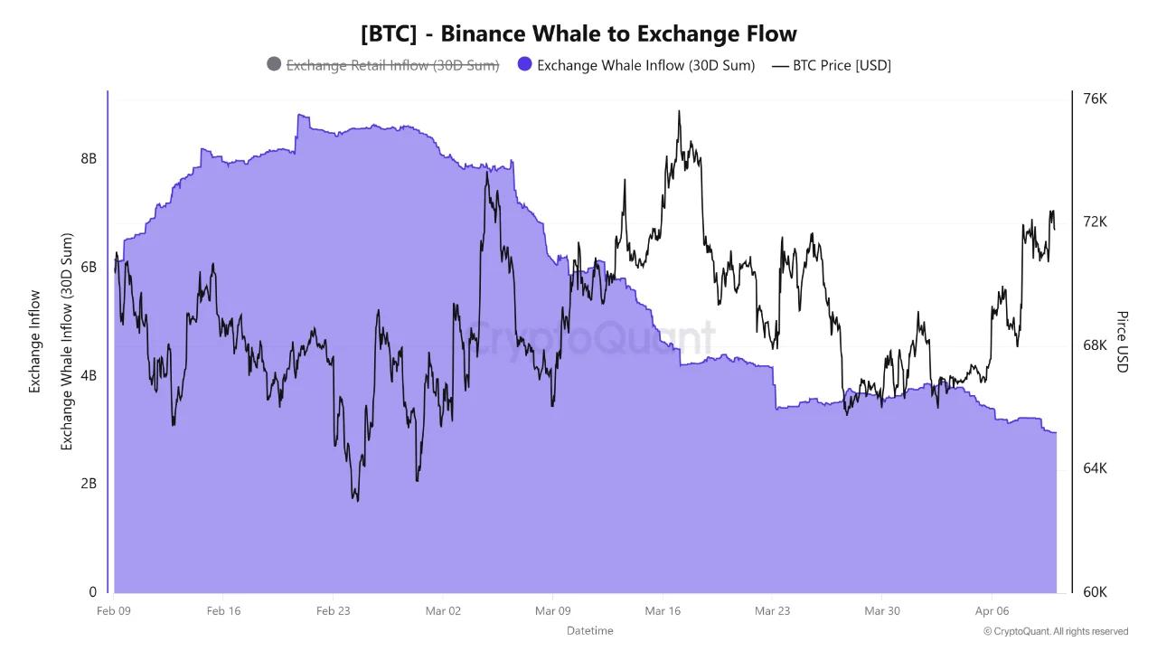 Bitcoin whale activity