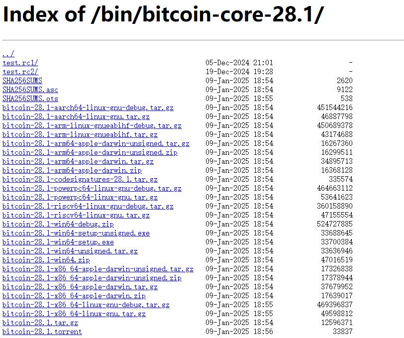 image-20250313154031510