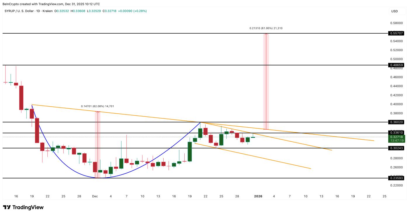 시럽 가격 분석
