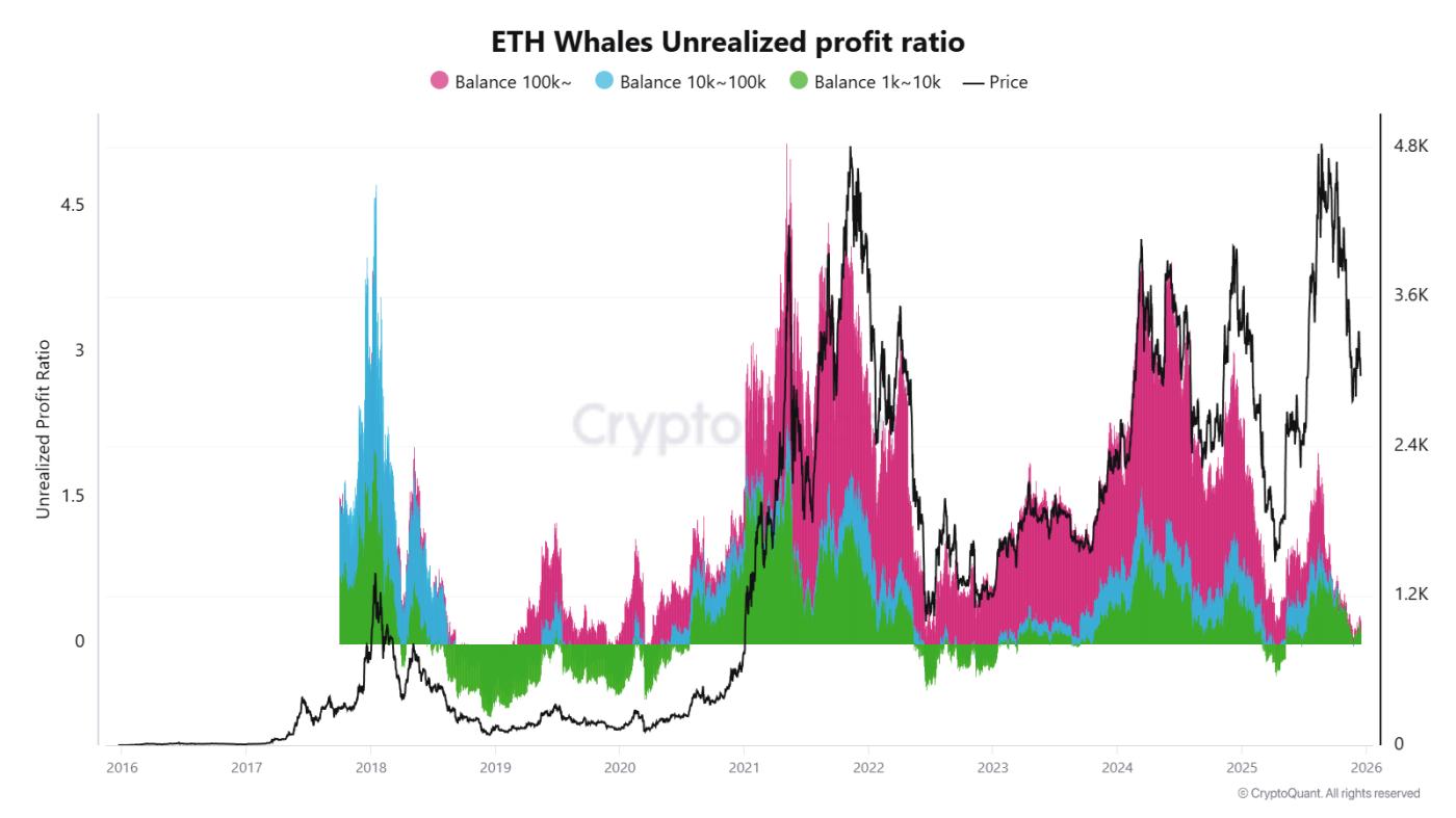 以太坊巨鲸未实现利润率。数据来源：CryptoQuant。
