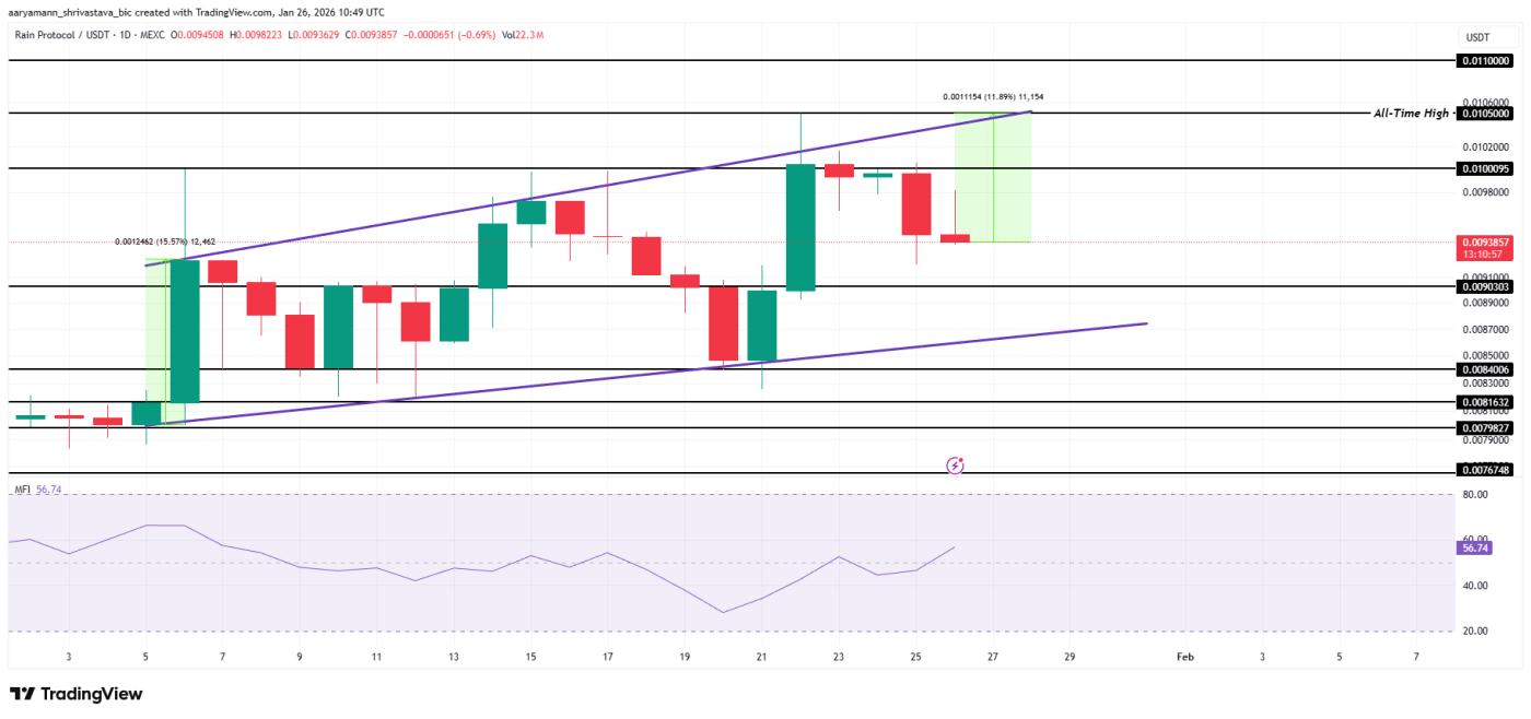 Rain Price Analysis.