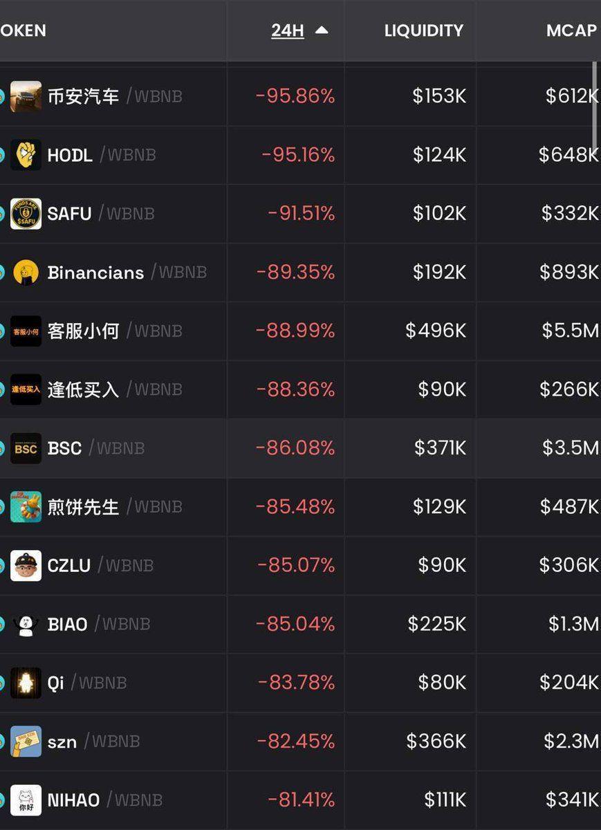 Screenshot of BNB meme tokens on a DEX tracker showing over -90% declines in the 24H column.