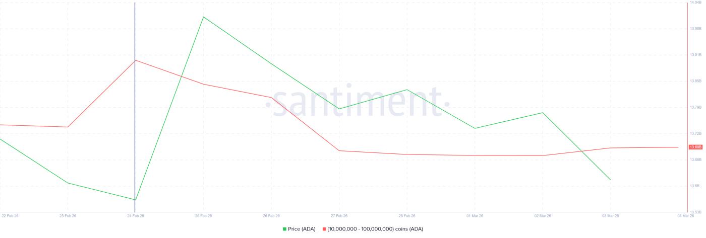 Cardano 鲨鱼持有 ADA。