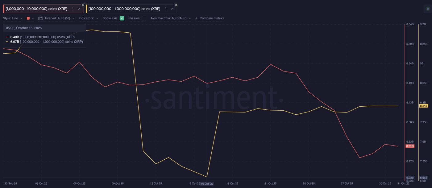 XRP Whales In Action