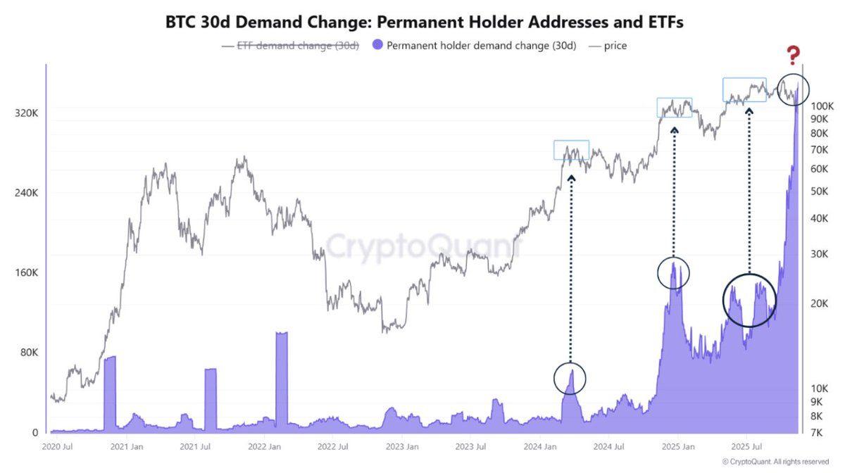 CryptoQuant 비트코인 ​​영구 보유자 수요 차트