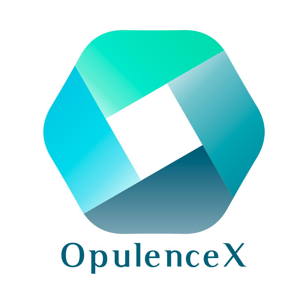 <a href="https://nftmarketplace.opulencex.io/">opulencex.io</a>