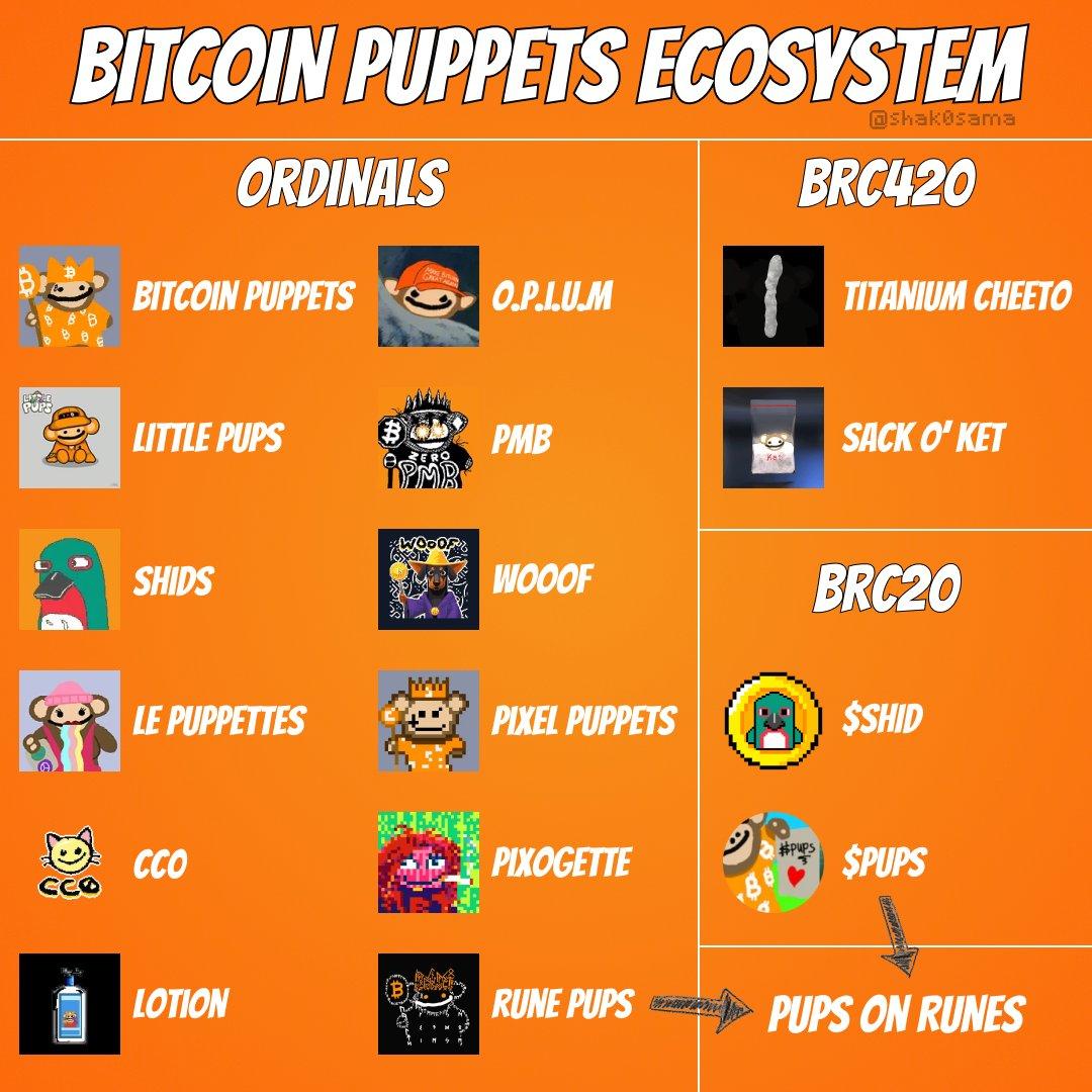 The “Puppet Monkey Empire” is gradually rising, and the BRC-20 ecological meme coin PUPS has become a rising star