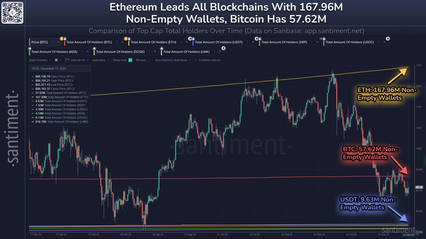 이더리움 보유자 데이터