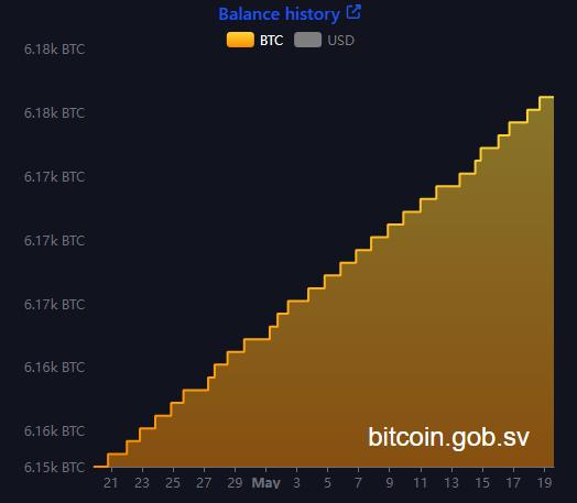 El Salvador Bitcoin portfolio