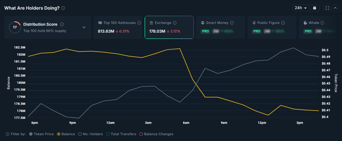 PIPPIN交易所控股
