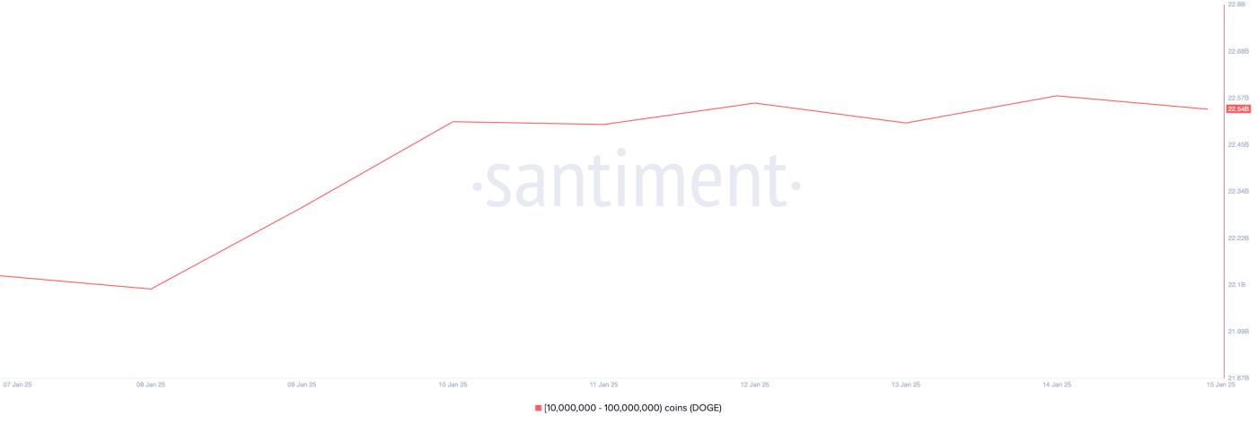 Phân bổ nguồn cung Dogecoin