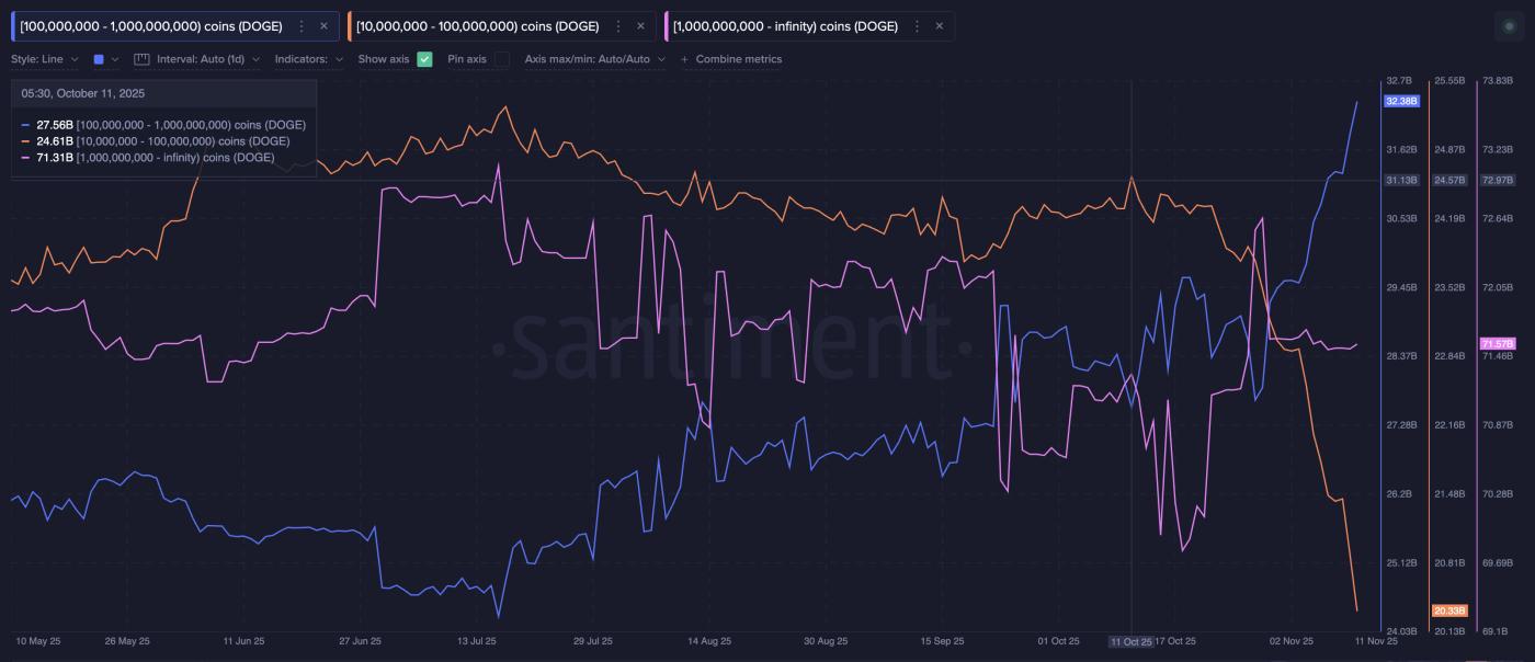 鯨魚並非朝著同一方向移動