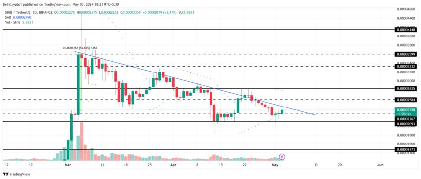 시바견 가격 분석.