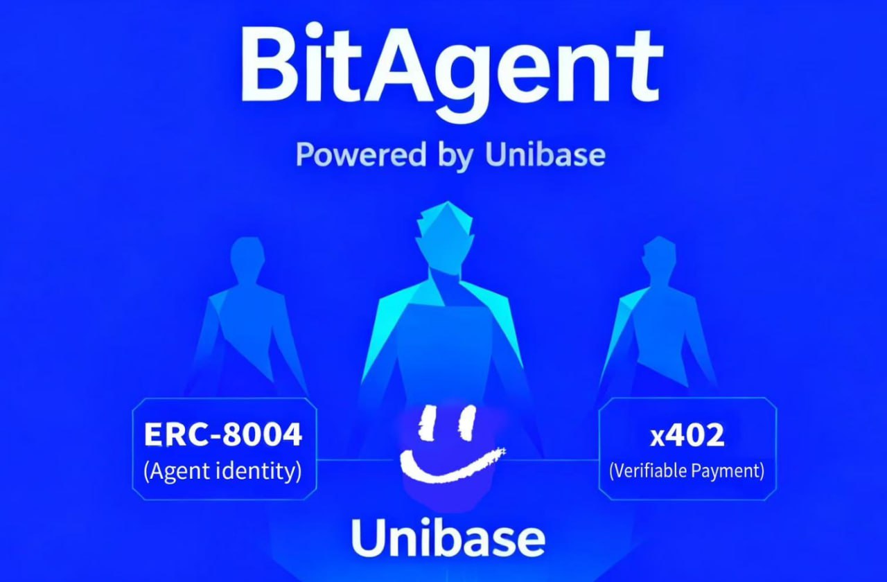 코인슛 공지방의 인사이트