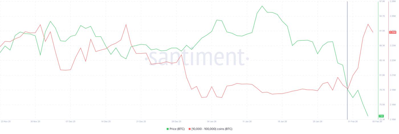 비트코인 고래 축적