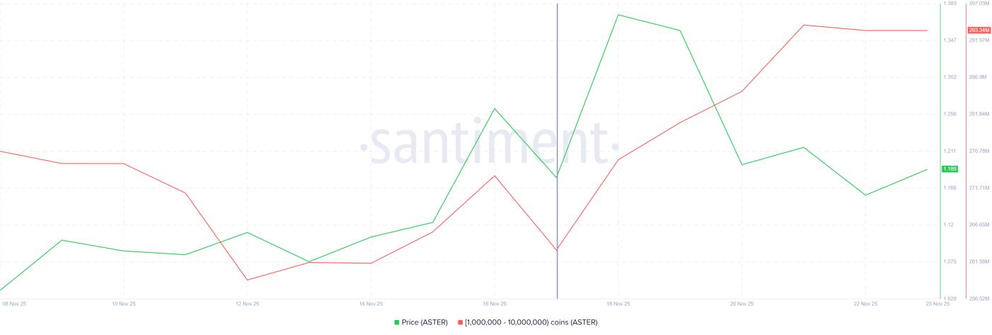 애스터 고래 보유