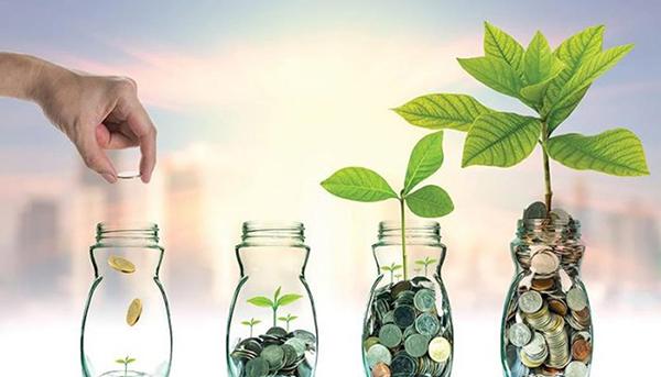 How to effectively manage a crypto investment portfolio 17 Lên kế hoạch phân bổ vốn hợp lý