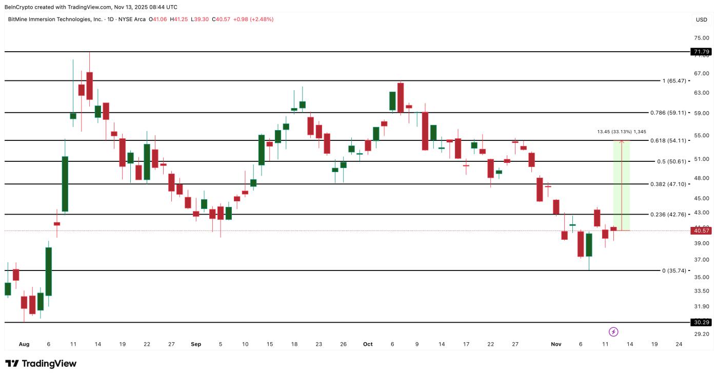 BitMine 价格分析