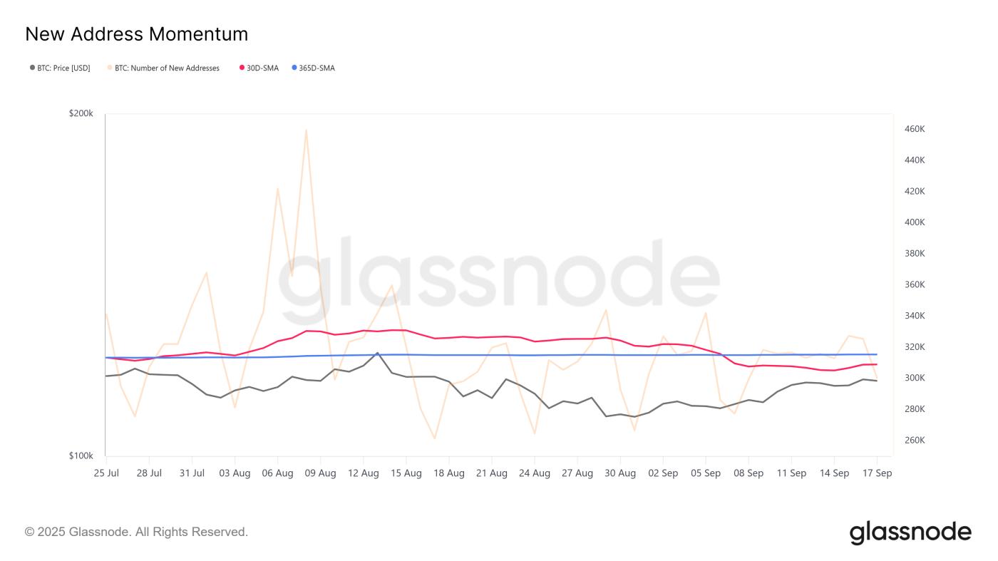 Bitcoin New Address Momentum