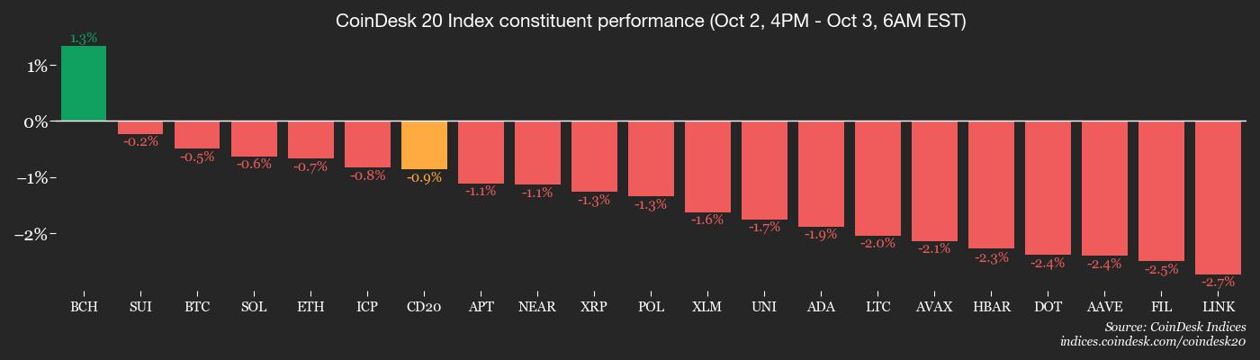 CoinDesk 20 members’ performance