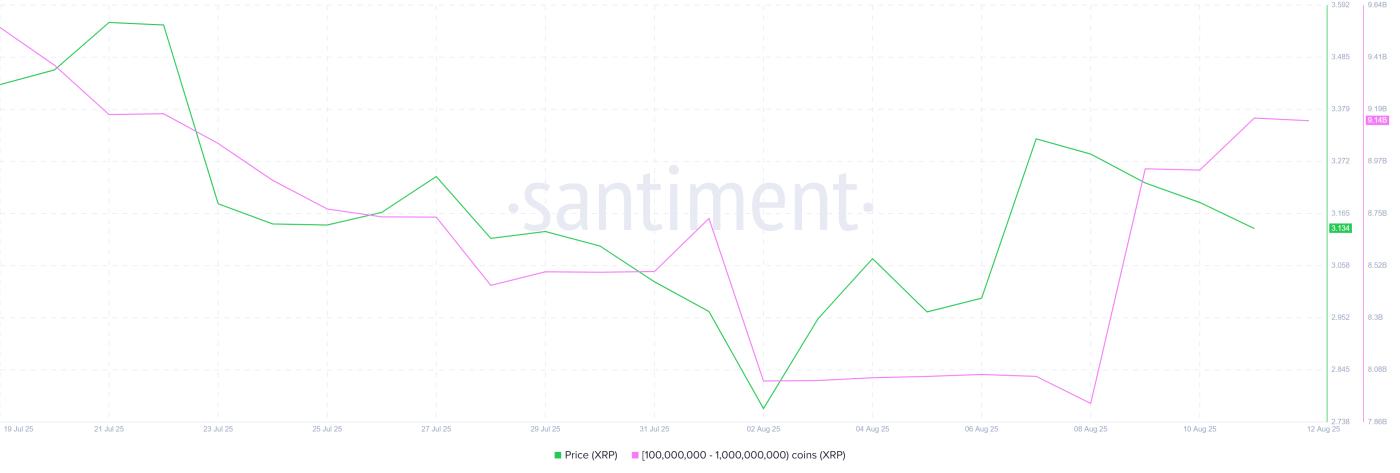 XRP Whale Holdings