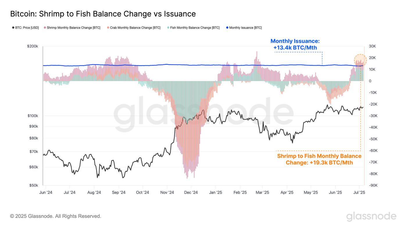 Volatility Tightens