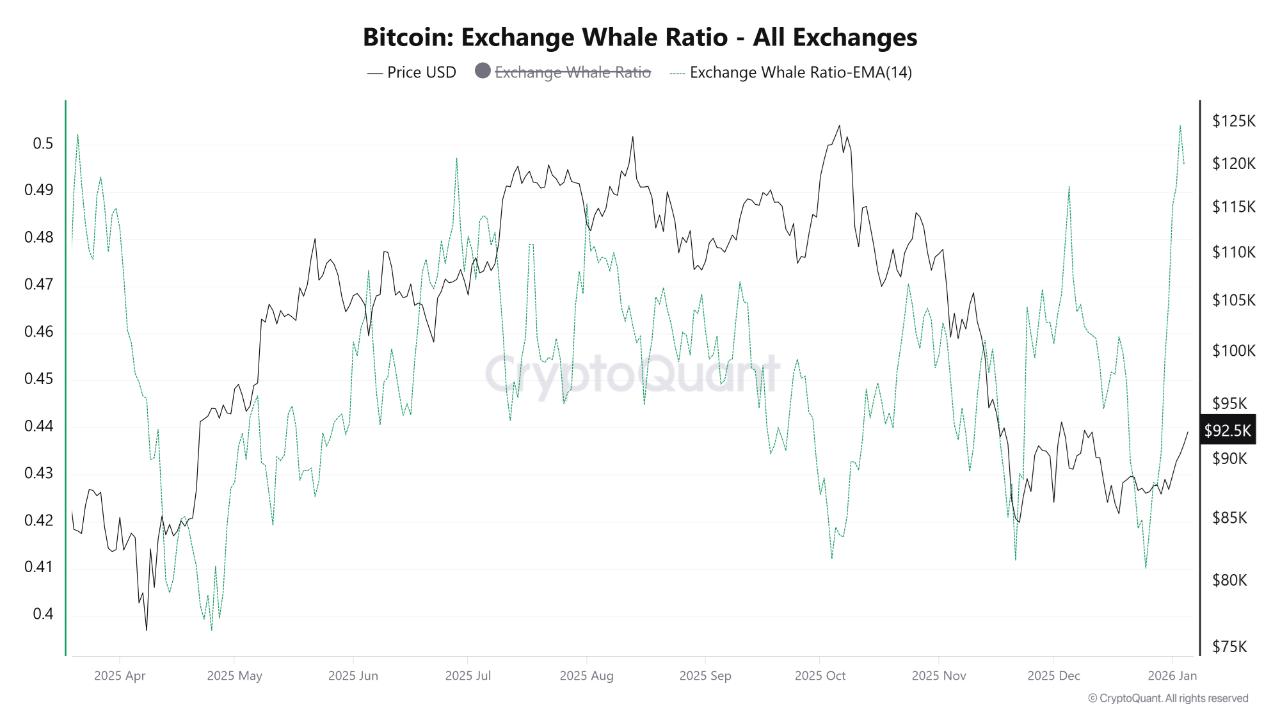 Bitcoin Exchange Whale Ratio. Source: CryptoQuant