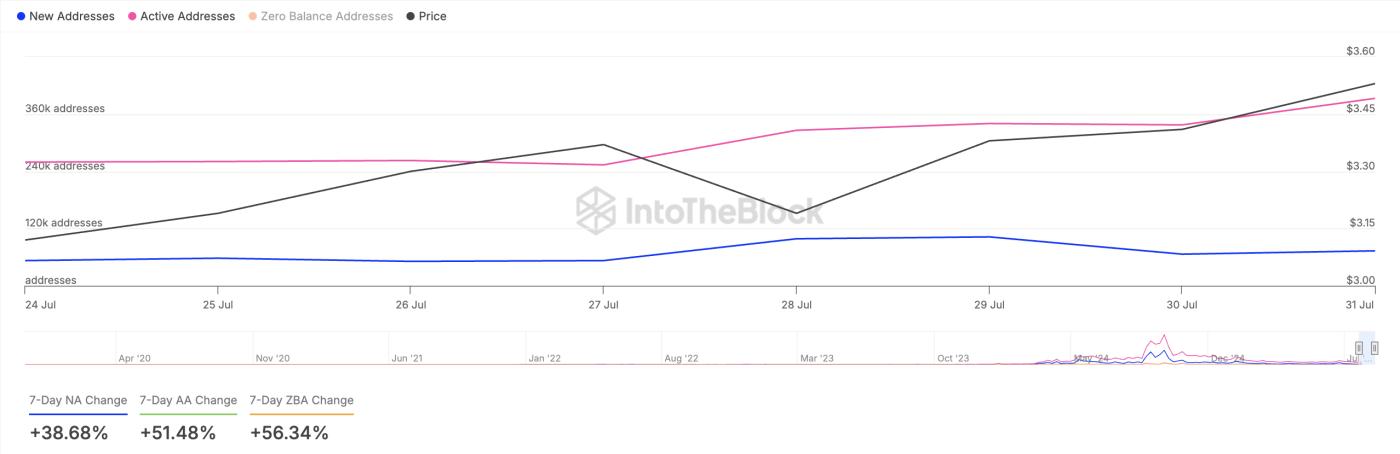 TON Network Activity.