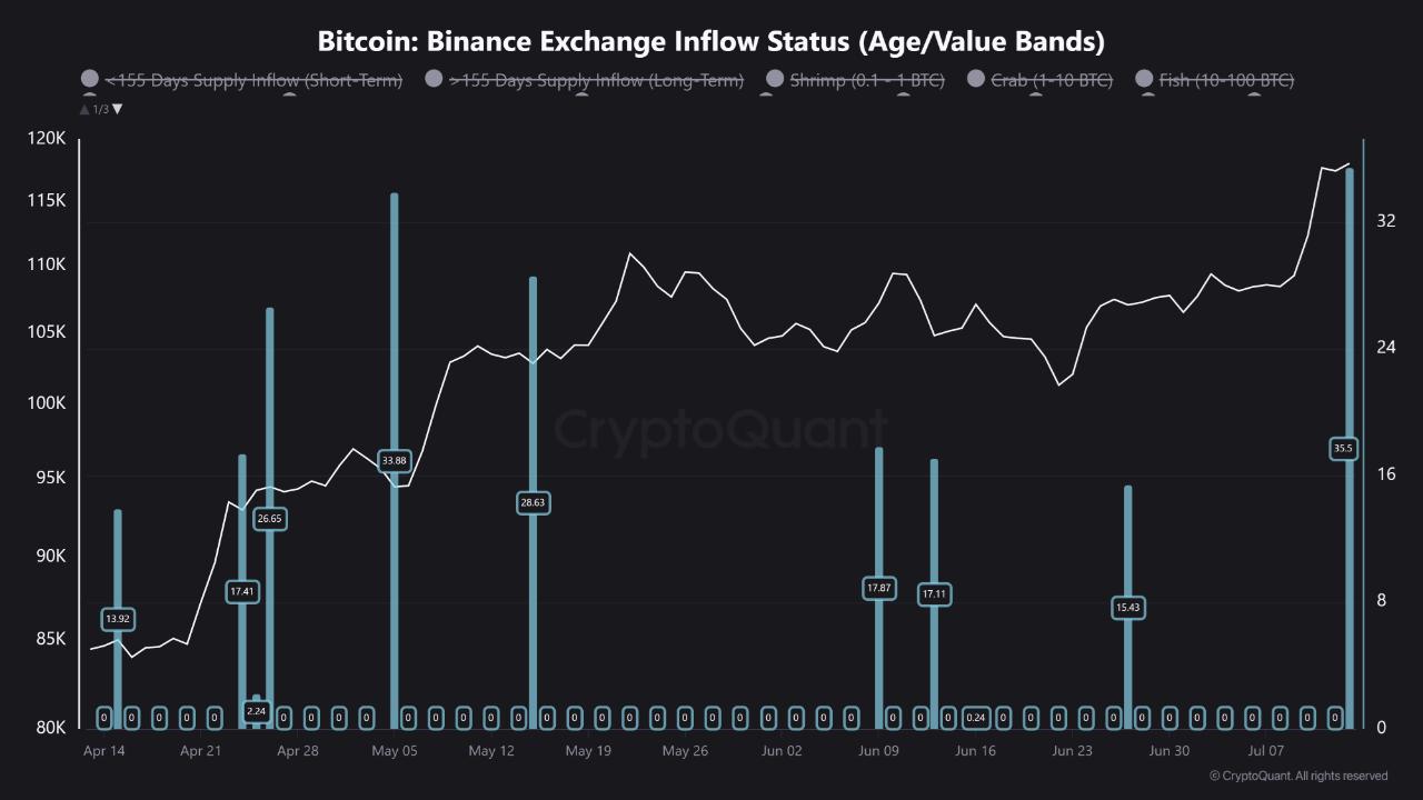 Binance Exchange Inflow Status. Source: CryptoQuant.