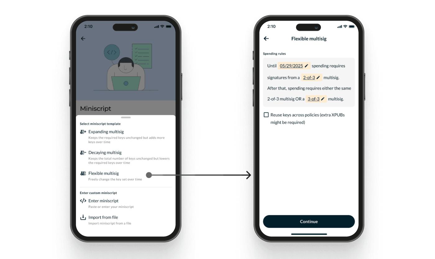 create-miniscript-wallet-via-timelock.png