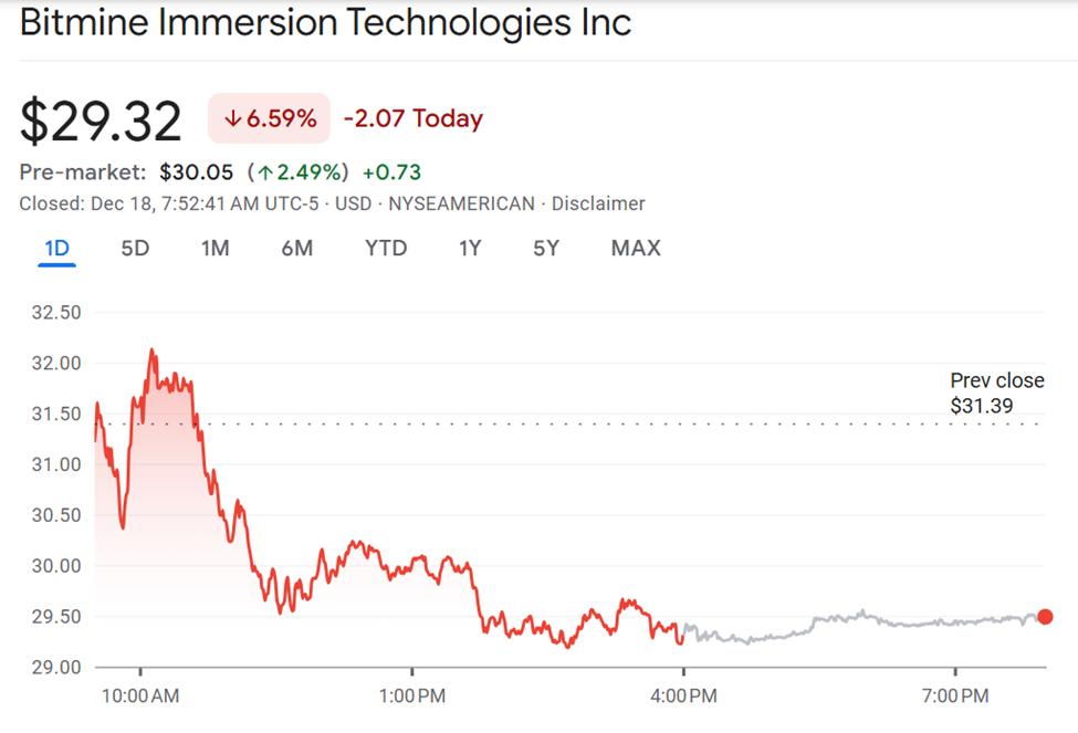 BitMine(BMNR) 주가 실적