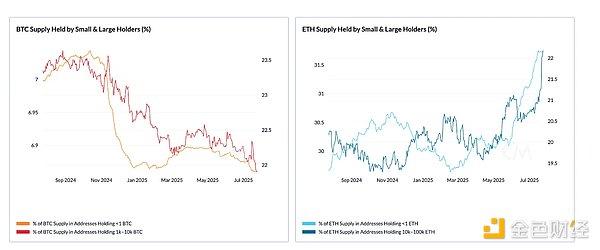 7387387 8S4HTz6vQTrRDQrbWzijGfKN4wNQkPMTgldKzvnR.png