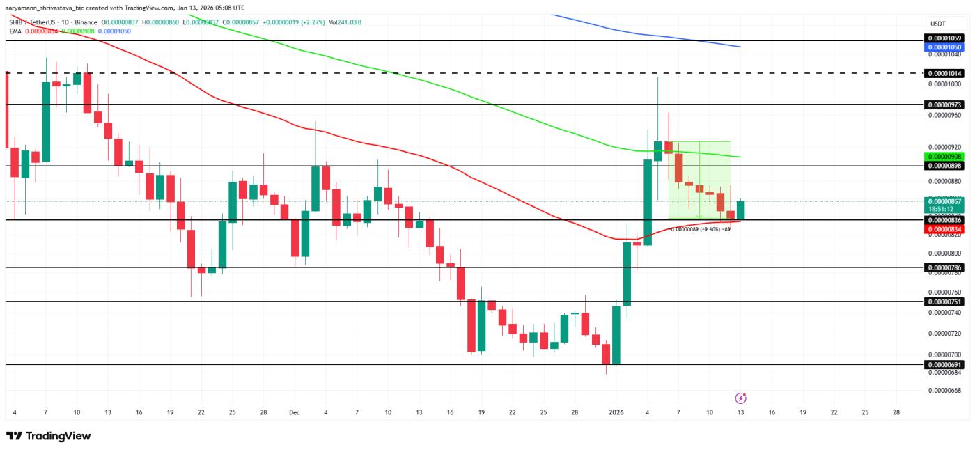 Phân tích giá chó Shiba Inu.