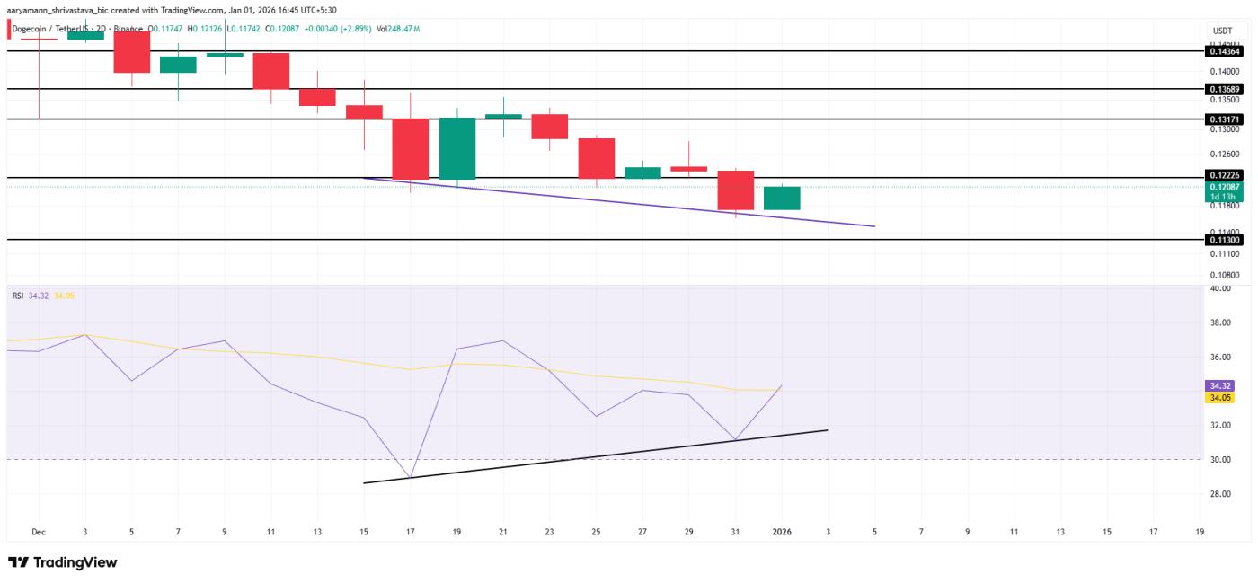 도지코인 가격 분석.