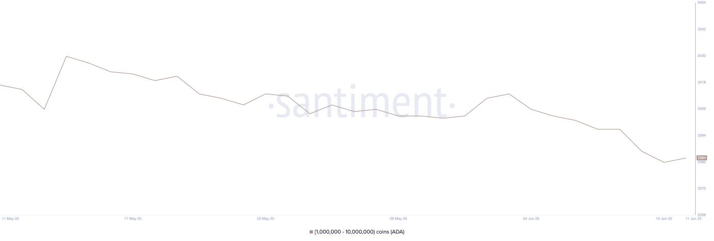Addresses holding between 1 million and 10 million ADA.