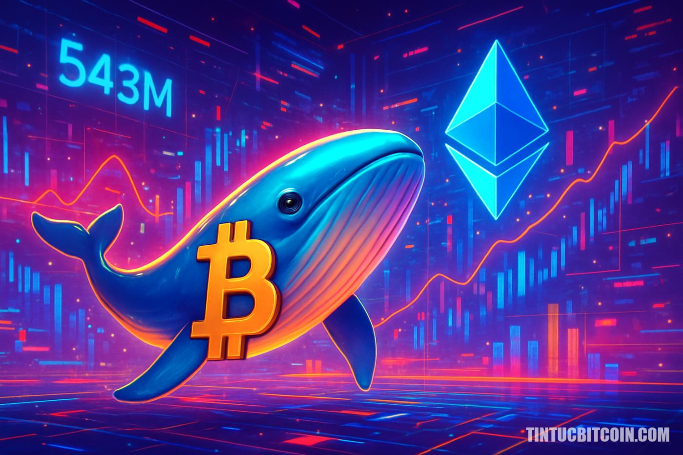 Cá voi Bitcoin chuyển 543 triệu USD ETH, sắp bán tháo?