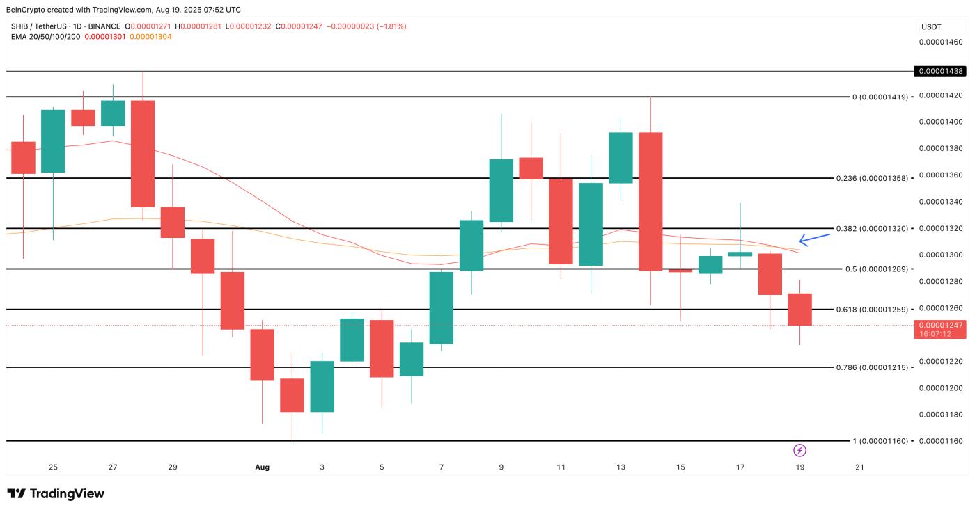 Shiba Inu price analysis: