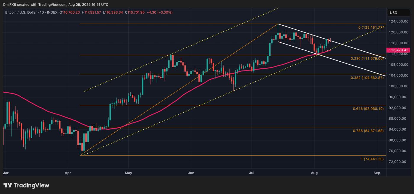 BTC's daily chart. (TradingView)