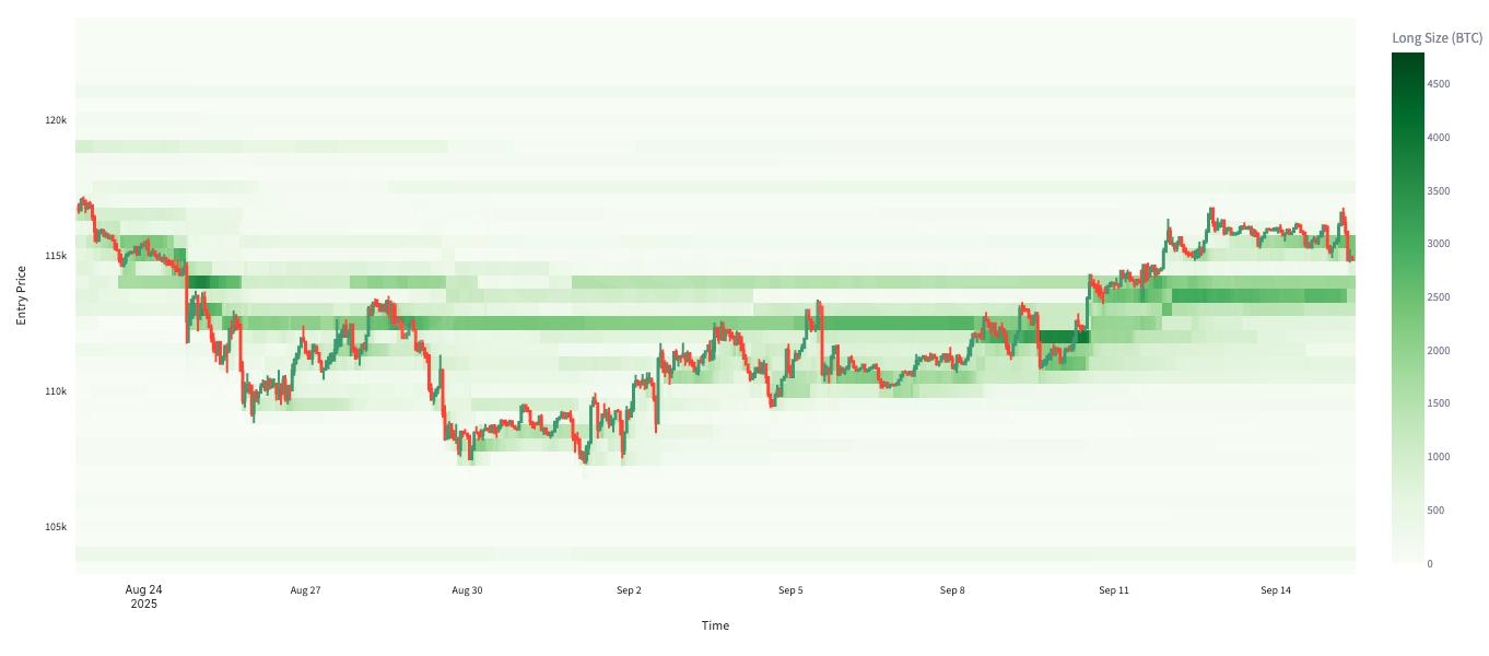 Pressure Points: Liquidation Heatmaps & Market Bias