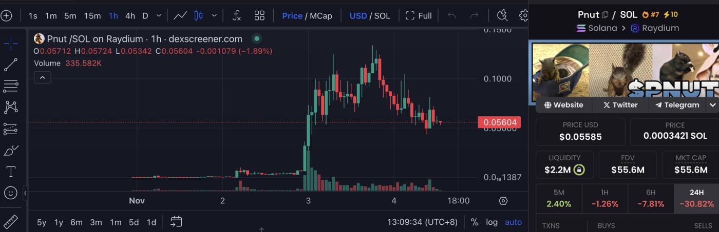 MEME 코인 Pnut 시총 일시 1억 달러 돌파, 머스크가 지원한 유명 인플루언서 Peanut의 죽음이 미국 정치 운동으로 번져