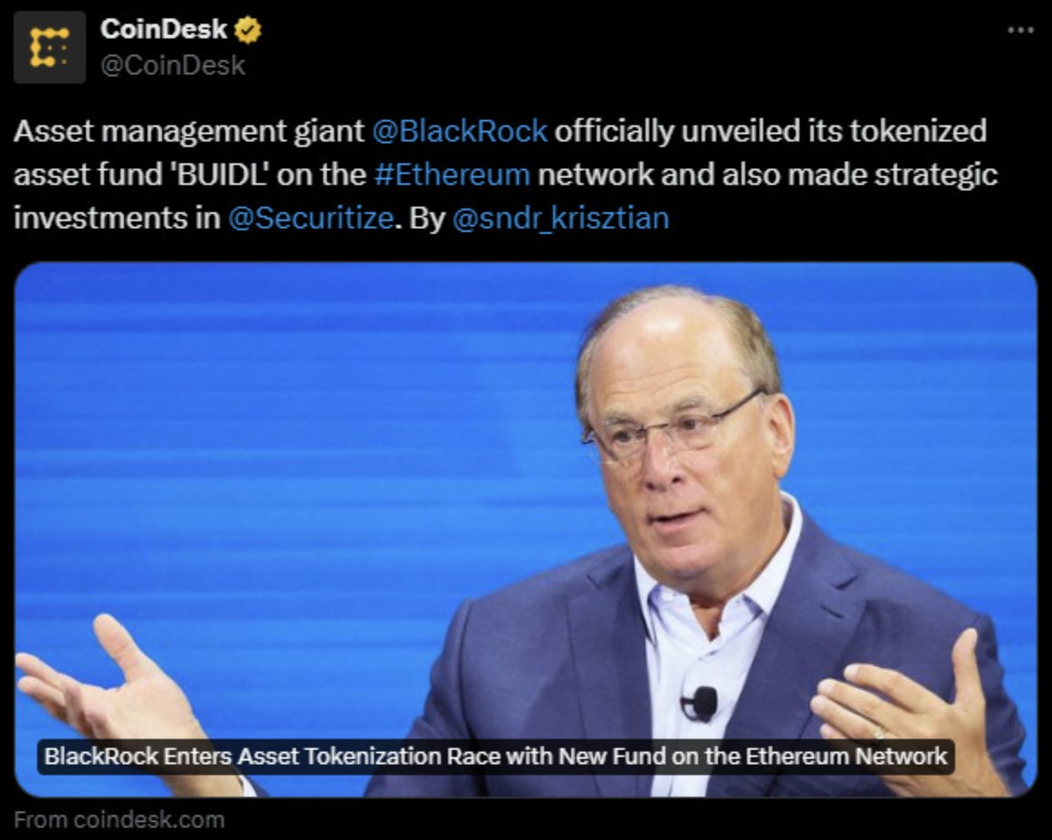 Dami-Defi의 인사이트