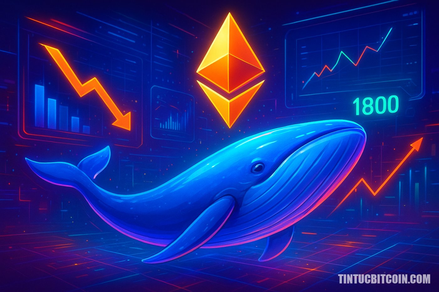 Cá voi Ethereum giảm hoạt động 86% – ETH có thể lấy lại 1.800 USD?