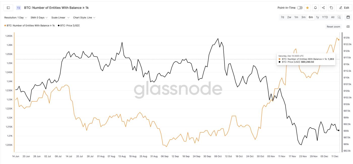 BTC Whales Keep Increasing