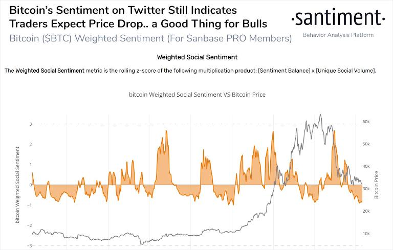Viral Narratives And Market Momentum: How Online Conversations Shape Crypto Prices