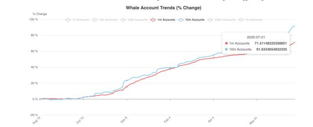 HBAR Whale Holdings Jump 5% in a Week; Is a Price Breakout Ahead?